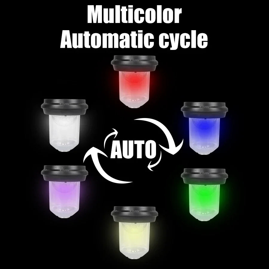 Solar Outdoor Lights – Waterproof Garden Lamps | Landscape Path LED for Yard, Patio & Lawn Décor