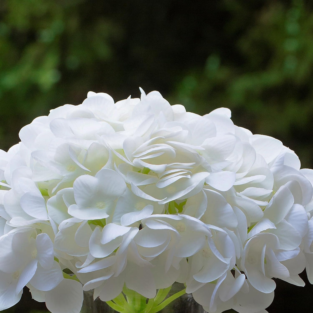 Artificial Flowers with Vase White Silk Fake Flowers Arrangements in Glass Vase with Faux Water for Home Bathroom Office Table Centerpiece Shelf Decorations